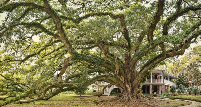 Seven Sisters color 1_7x13 copy