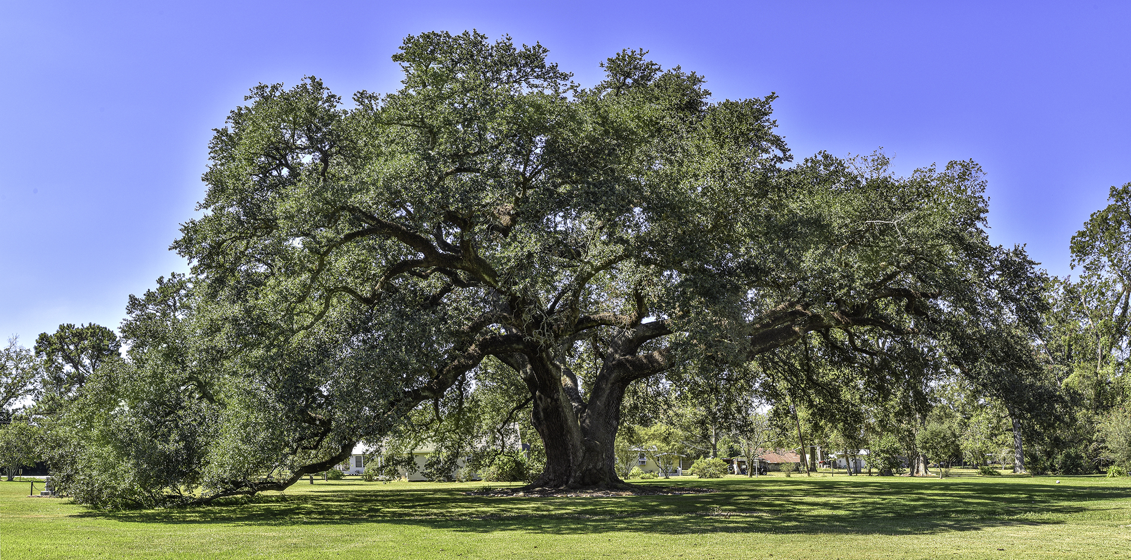 DSC_2605-Pano-Edit copy 2