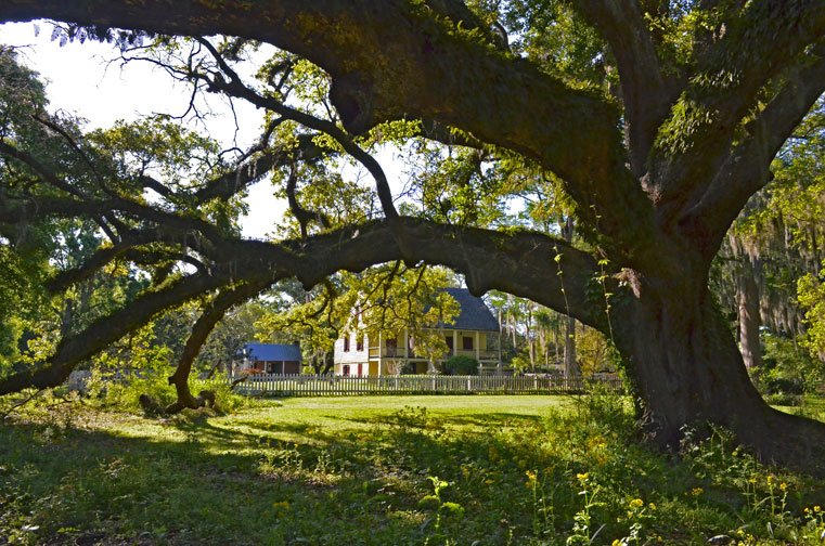Gabriel Oak, view toward Maison Olivier Creole cottage