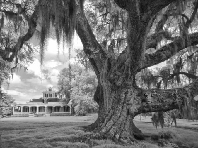 Cleveland Oak and Jefferson home, Jefferson Island