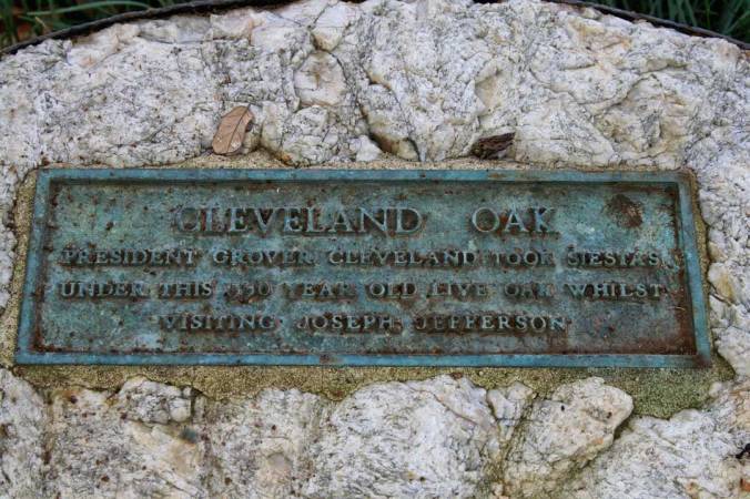 Placque at the roots of Cleveland Oak, Jefferson Island