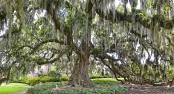 Robert-Earle-Sr_color-2