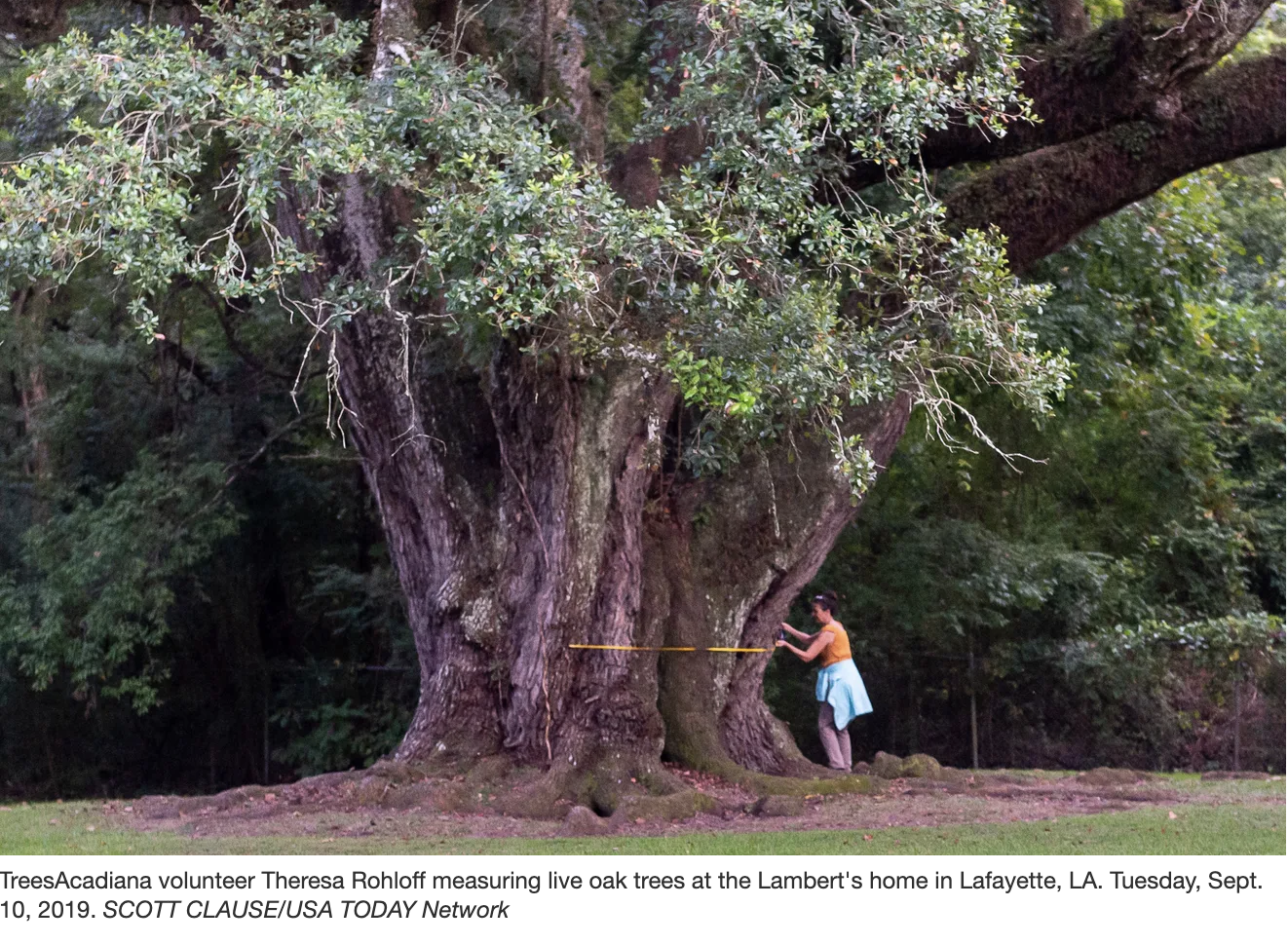 Screen Shot 2021-06-27 at 8.36.47 AM