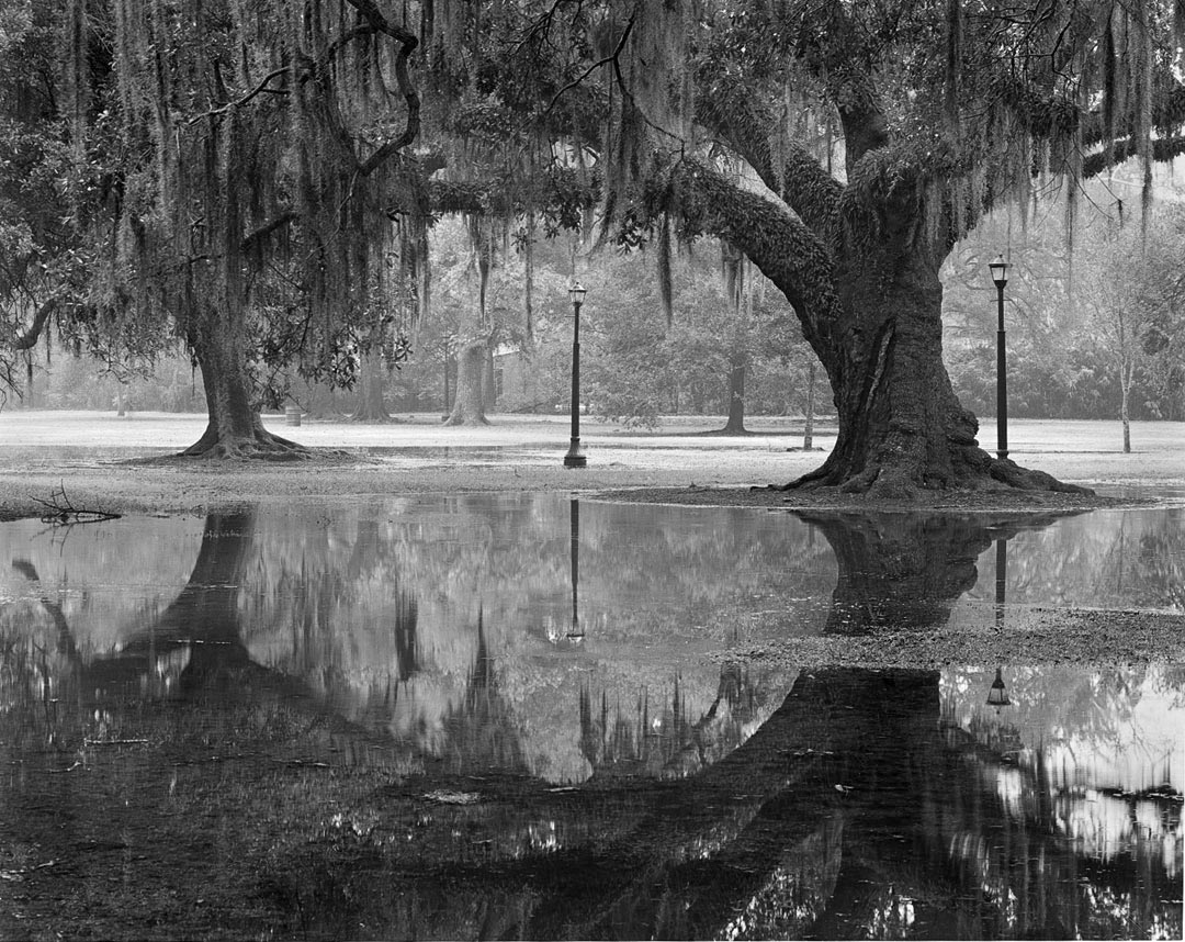 2oaks-and-reflection_Audubon-copy