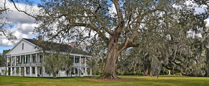 rienzi-house-and-oaks-west-corner