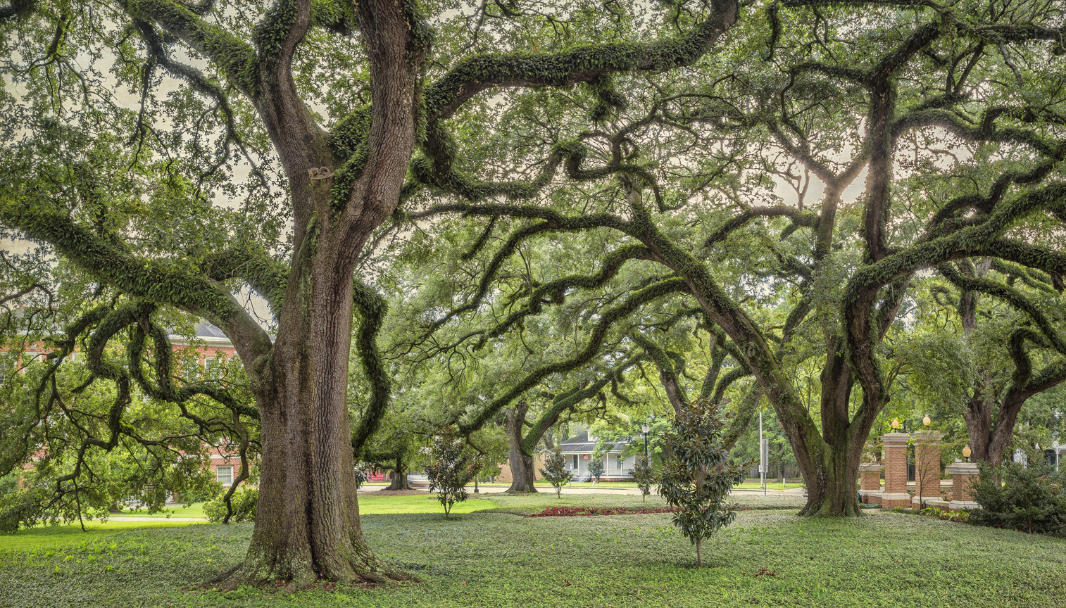 20th century oaks 1a copy