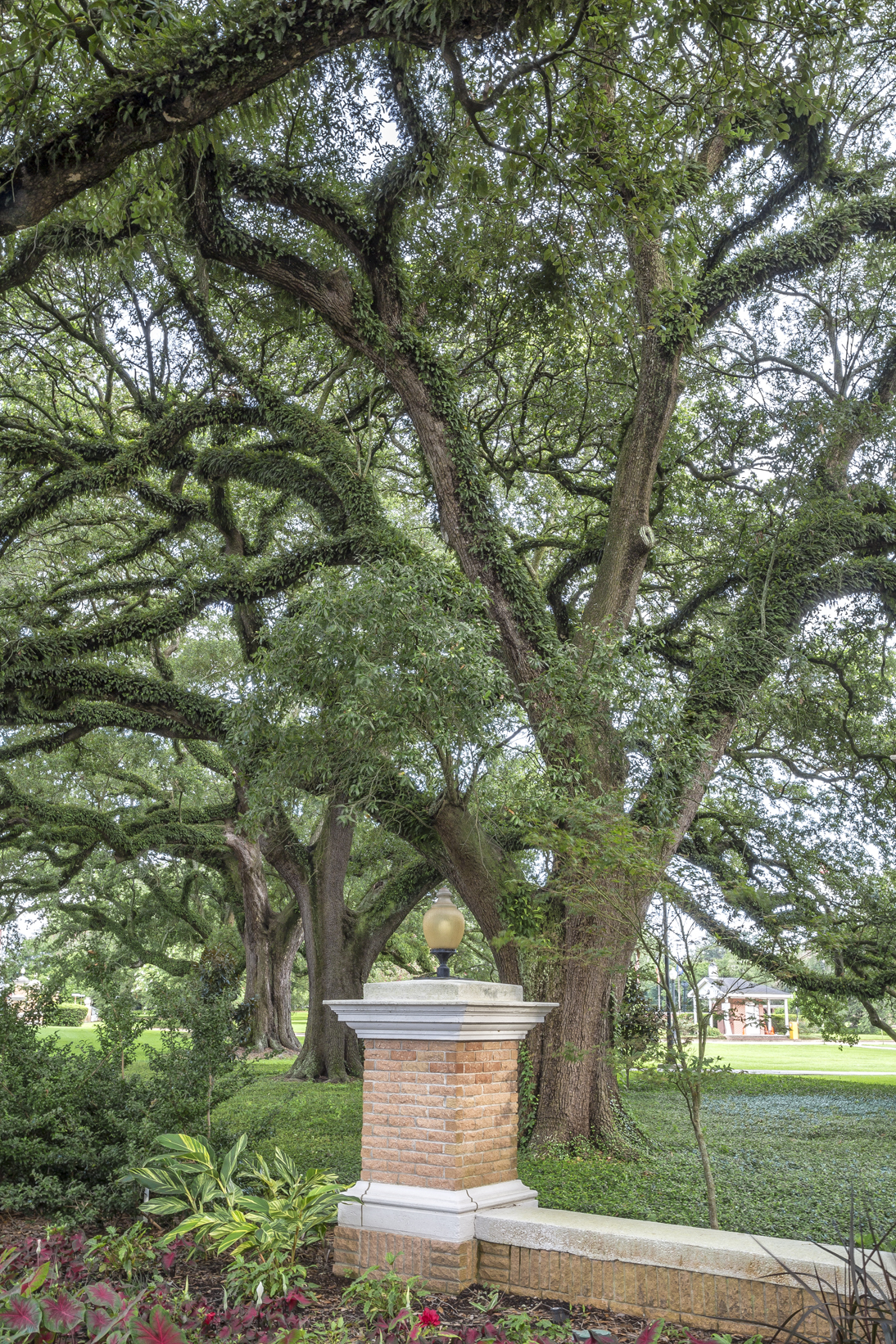 20th century oaks_9477