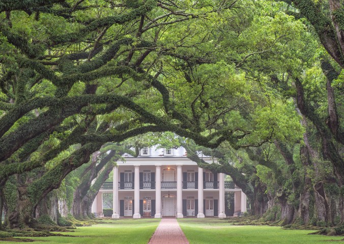 Alley center after rain_8x10