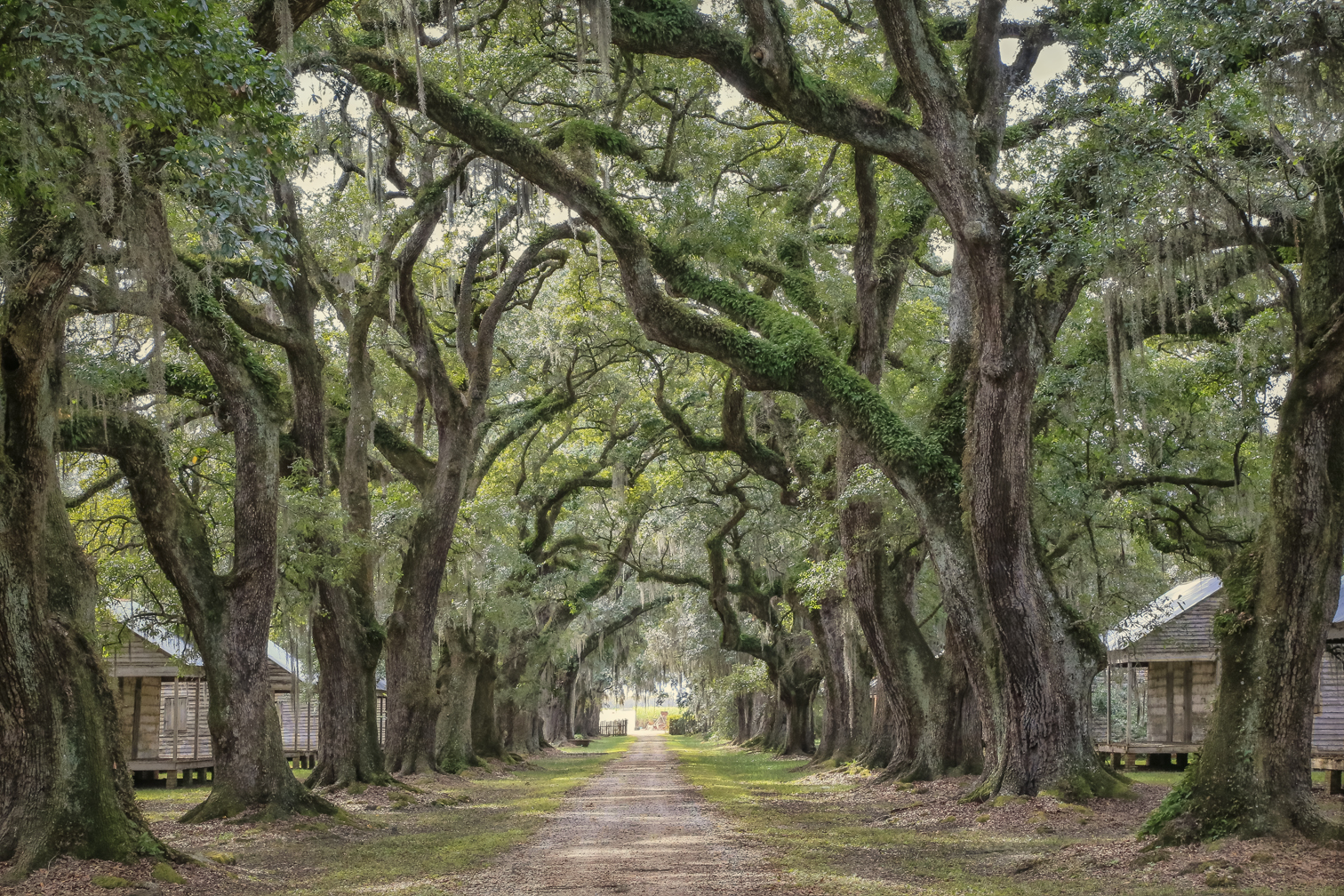 Quarters mid-alle _6589