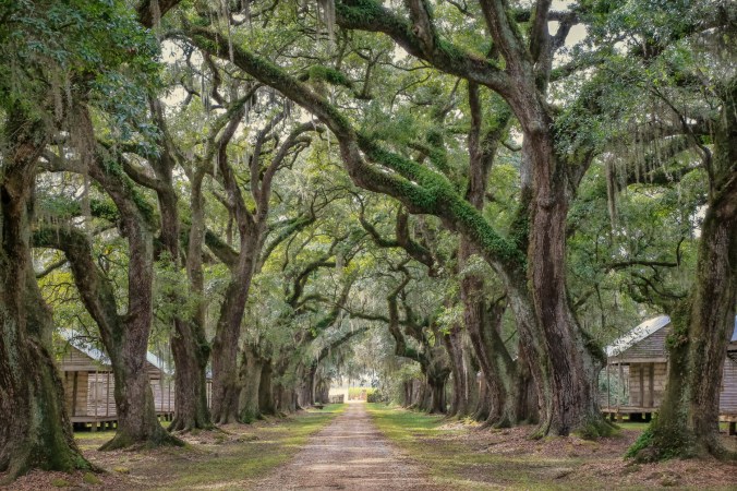 Quarters mid-alle _6589